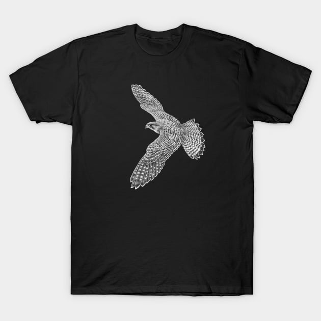 Peregrine falcon T-Shirt by Tim Jeffs Art